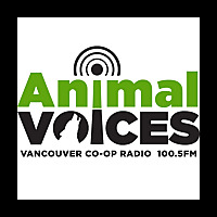 Animal Voices