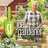 The joe gardener Show - Organic Gardening - Vegetable Gardening - Expert Garden Advice From Joe Lamp