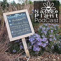 The Native Plant Podcast