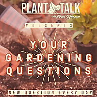 Your Gardening Questions