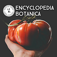Encyclopedia Botanica