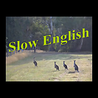 Slow English
