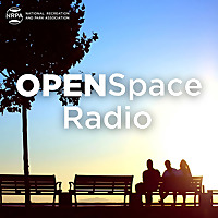 Open Space Radio Blog