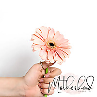 Motherhood Simplified