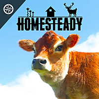 Homesteady - Stories of Living off the Land