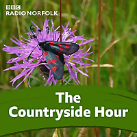 The Countryside Hour