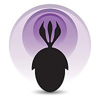 Palaeocast