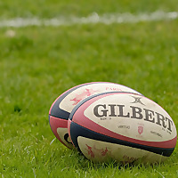 Elite Rugby Banter