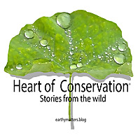 Heart of Conservation