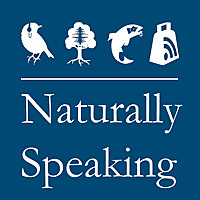 Naturally Speaking