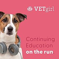 VETgirl Veterinary Continuing Education Podcasts