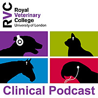 Veterinary Clinical Podcasts