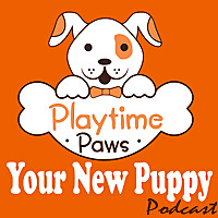 Your New Puppy: Dog Training and Dog Behavior Lessons to Help You Turn Your New Puppy into a Well-Be