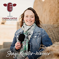 Casual Cattle Conversations