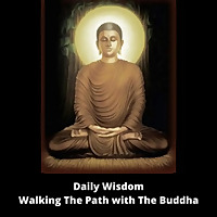 Daily Wisdom - Walking The Path with The Buddha