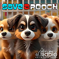 Save A Pooch - Rescue Dog Welfare- Pet Life Radio Original (PetLifeRadio.com)