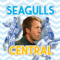 Seagulls Central