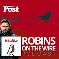 Robins on the Wire