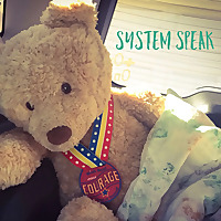 System Speak: Dissociative Identity Disorder ( Multiple Personality Disorder ), Complex Trauma , and