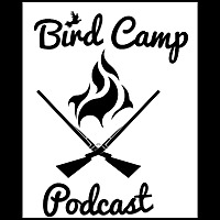 Bird Camp