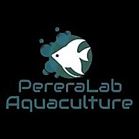 AquaCulture with the PereraLab Group