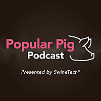 Popular Pig