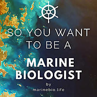 So You Want to Be a Marine Biologist