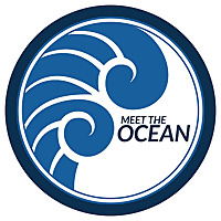 Meet the Ocean