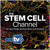 Stem Cell Channel (Audio)