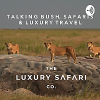 Talking Bush, Safaris & Luxury Travel