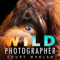 The Wild Photographer