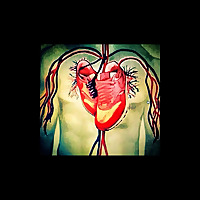 Jami Dulaney MD Plant Based Wellness