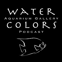 Water Colors Aquarium Gallery
