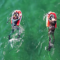 The UK spearfishing podcast