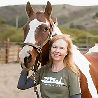 Animal Reiki Talk