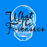 What the Forensics