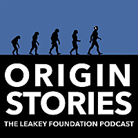 Origin Stories