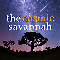 The Cosmic Savannah