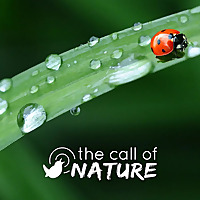 The Call Of Nature