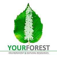 YourForest