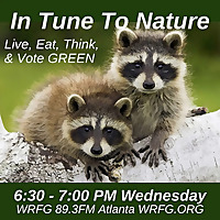 In Tune to Nature Podcast