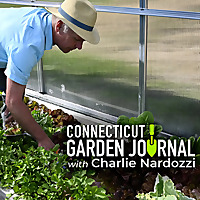 Connecticut Garden Journal