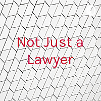 Not Just a Lawyer