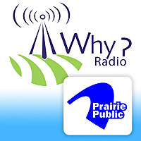 WHY? Philosophical Discussions About Everyday Life