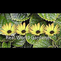 Real World Gardener-Horticulture, Gardening, Learning to Grow