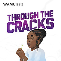 Through The Cracks