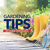 Gardening Tips on WBBM Newsradio