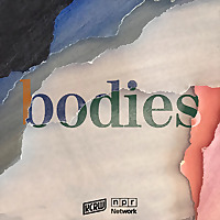 Bodies