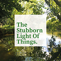 The Stubborn Light of Things
