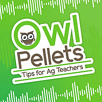 Owl Pellets: Tips for Ag Teachers